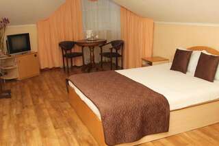 Отель Hotel DENINNA Винница Большой двухместный номер с 1 кроватью-7
